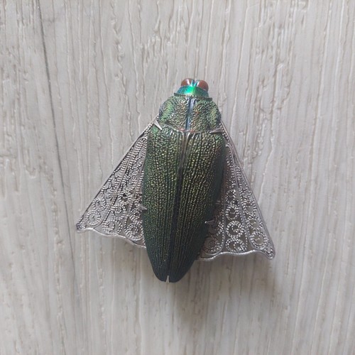 Rare bijou art nouveau - rare, insecte