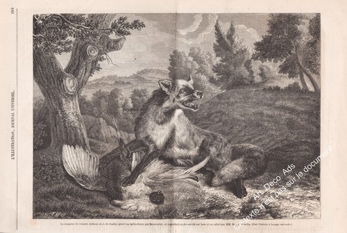Engraving 1858 - engraving,, fox