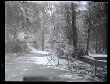 FRANCE Parc Bois c1920 Photo