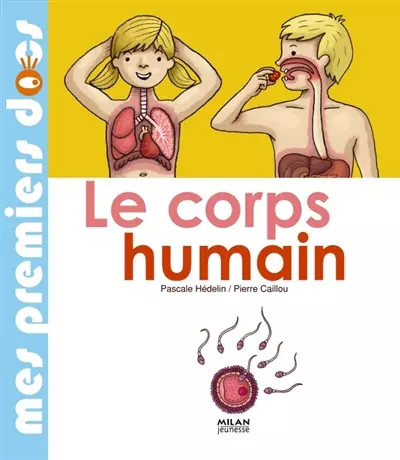 Corps humain pierre - corps, humain,