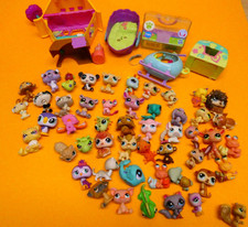 Hasbro Littlest Pet Shop