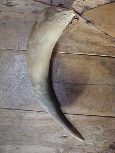 Ancienne corne boire pour - ancienne, à