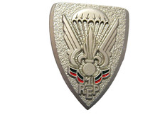 PARACHUTISTES LEGION ETRANGERE ALGER 1° REP  (NUMEROTE) 1961-2011