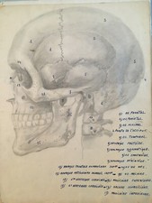 Superbe  Cahier écorché