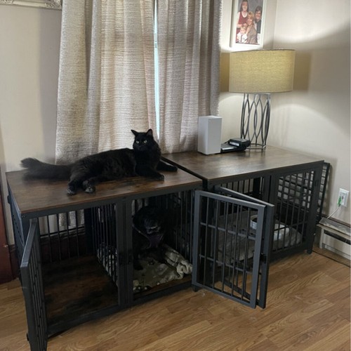 Dogs separation wooden dog - separation,