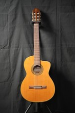 Takamine Classical Nylon