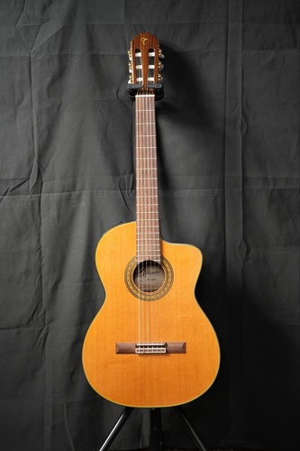 Takamine classical nylon - takamine,