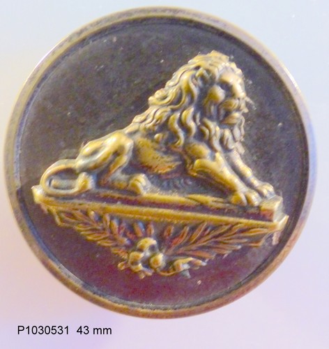 Bouton ancien lion 43 - lion,