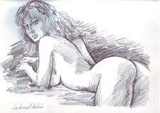 FUSAIN,   nu féminin   