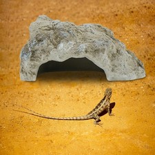 Accessoires décoratifs pour