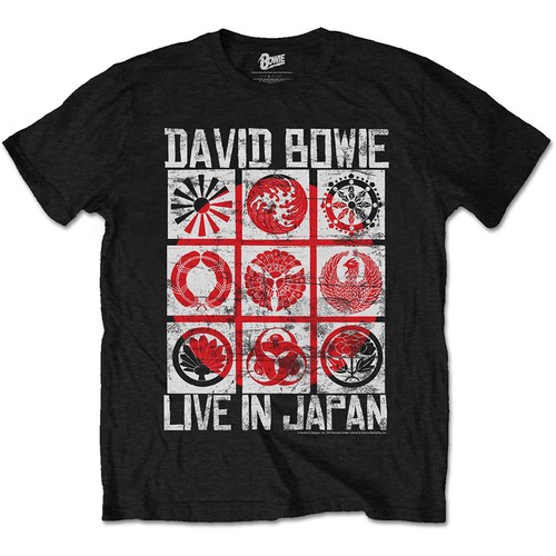 David bowie live japan - bowie, in