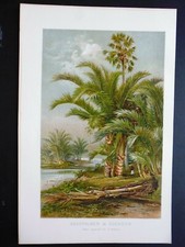 gravure:chromolithographie
