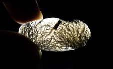 Colombianite Calitite Piedra