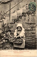 CPA Env. de BEAUNE Vendangeuse