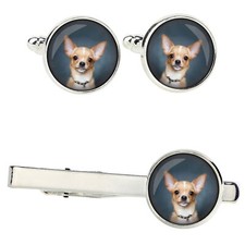 Teckel à poil ras ensemble de