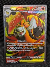 Carte Pokemon CAMERUPT EX