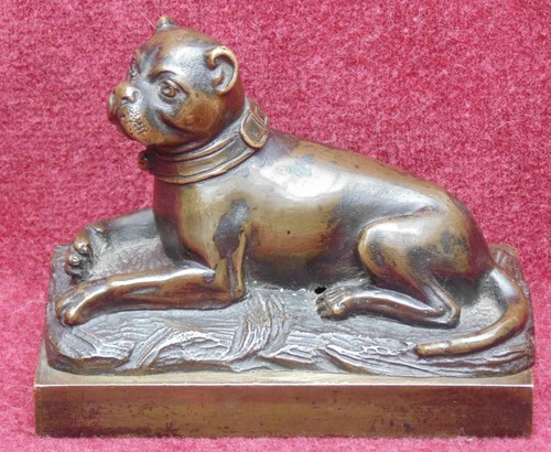 Magnifique ancien chien - magnifique,