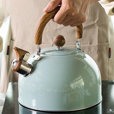 Bouilloire sifflante pour