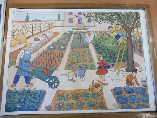 Affiche scolaire rossignol - scolaire,