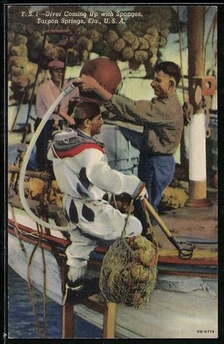 Tarpon springs sponge - tarpon, springs,