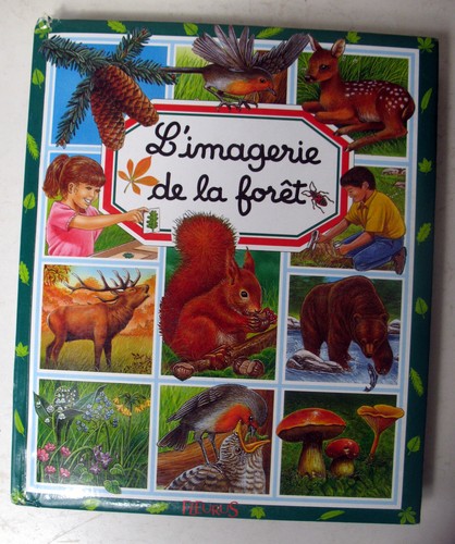 Imagerie forêt - de,