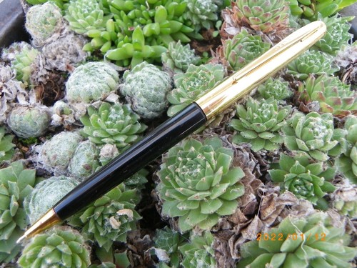 Ancien stylo bille watermans - bille,