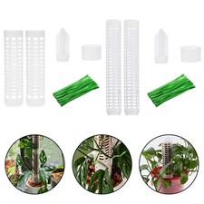 Système de Support pour Intérieur pour Plantes Grimpantes avec Caractéristiqu