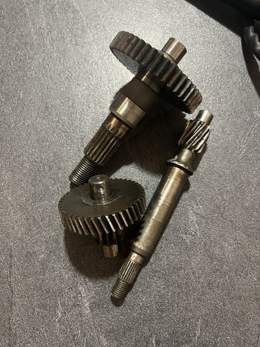 Transmission trekker vivacity - trekker,