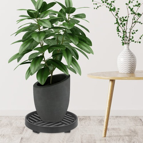 Rack pot fleurs avec - fleurs,