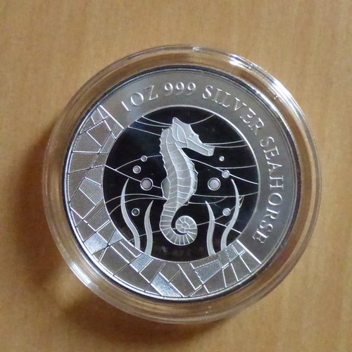 Samoa tala seahorse - ,