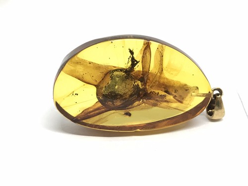 Pendentif ambre insectes - pendentif, 2