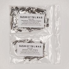 SUZUKI GT 750 L M A B 1974-1977 Kit n°1 vis BTR inox carburateur GT750