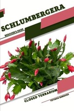 Tetiana Sabanen Schlumbergera
