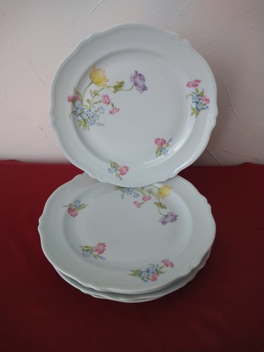 Assiettes plates en - assiettes,