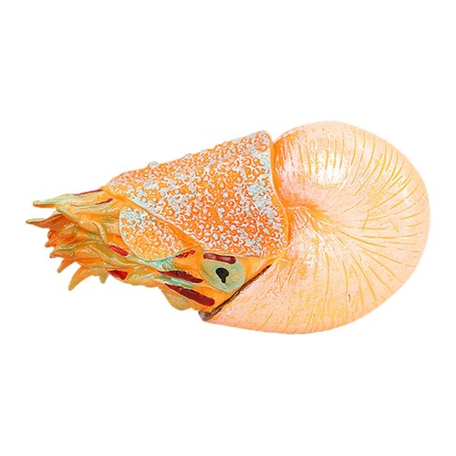 Figurines animaux décoration - ,