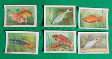 Lot 6 images album Nestlé