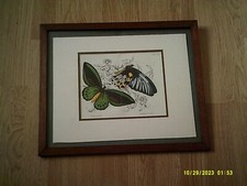 gravure ancienne encadrée