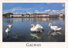 IRLANDE GALWAY CLADDAGH