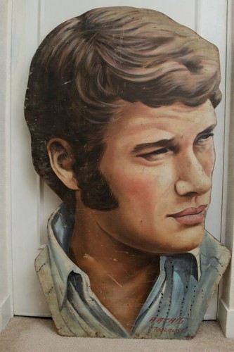 Johnny hallyday art peinture - johnny,