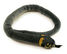 Serpent Anneau Animal 150 Cm