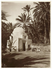Lehnert landrock tunisie - lehnert, &
