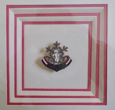 TABLEAU CHAMBRE MEDAILLE INSIGNE SKI ESF OURSON JARDIN D’ENFANTS RÉCOMPENSE 