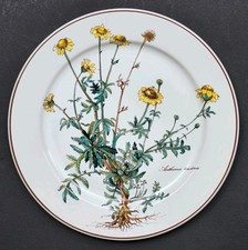 Sublime assiette plate signée - assiette,