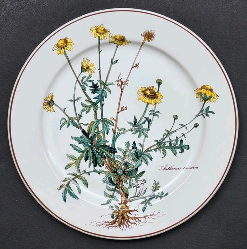 Sublime assiette plate - sublime,