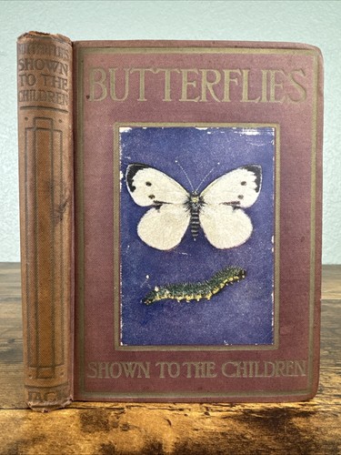 Butterflies and moths shown - moths,