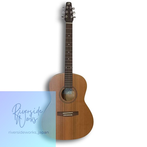 Guitare acoustique folklorique