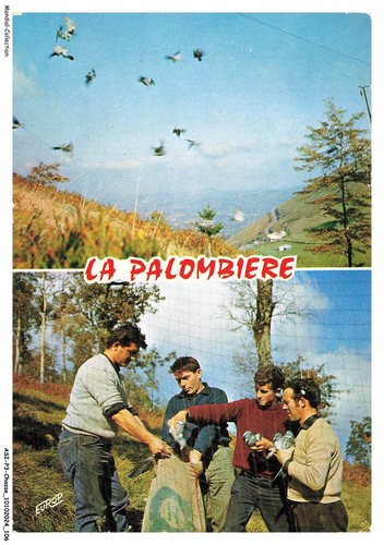 Asip3 0185 chasse la - asip3-0185-chasse,