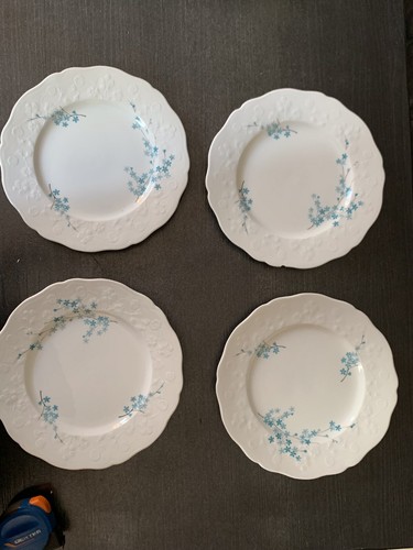 Assiettes plates porcelaine - assiettes,