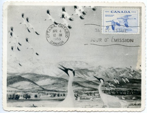 Maximaphilie carte postale - maximaphilie,