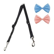 1 laisse pour chien à deux